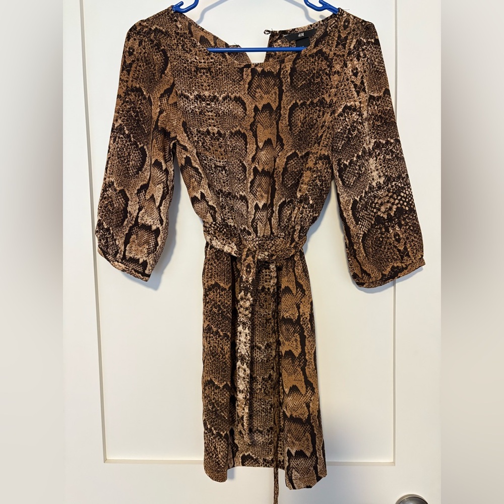 H&M Brown Snake Print Dress